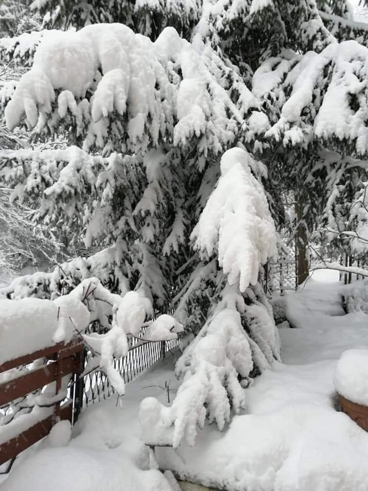 Naturparadies Marktl Dış mekan fotoğraf